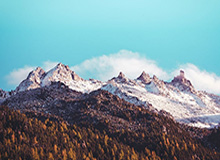 中国足协官方公布73人禁足名单